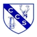 Chasetown Community School